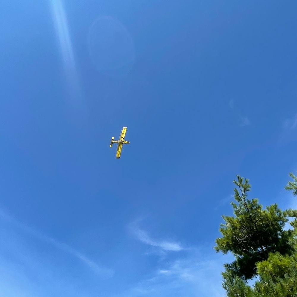 Meet your Posher, Mackenzee